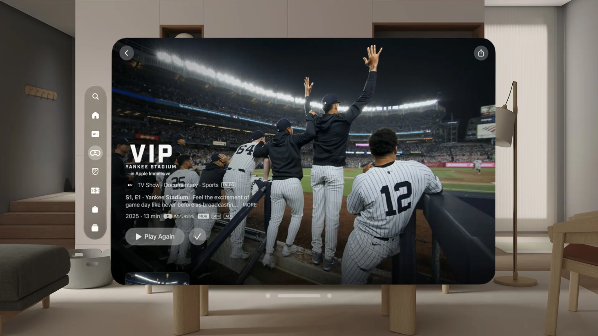 VIP Yankee Stadium